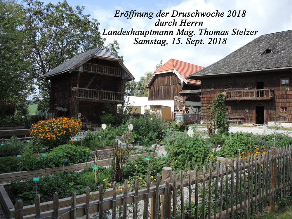 Druschwoche-Erffnung-2018-01