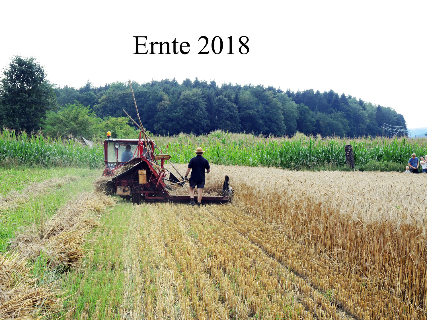 Ernte-2018-01