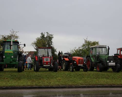 IMG_0803_original